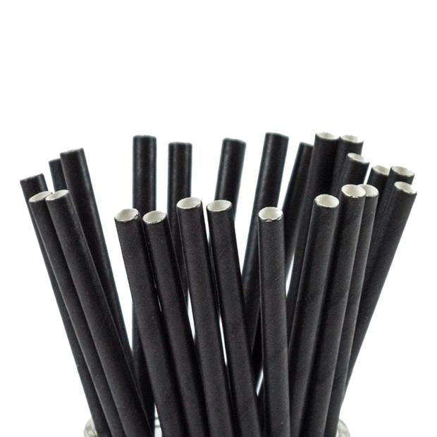 Black Biodegradable Paper Straws (Pack of 250)
