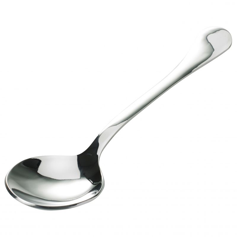 Motta Stainless Steel Coffee Tasting/Cupping Spoon
